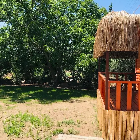 Holiday home Acarbungalowevler